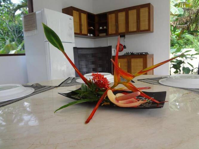 Orlowsky Discovery Candidasa