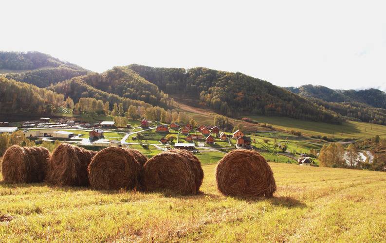 Басаргино