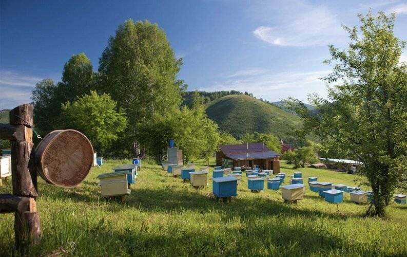 Басаргино
