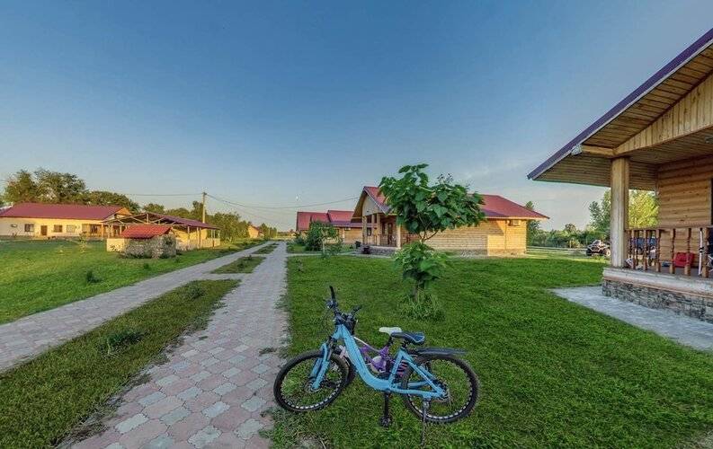 Золотая Рыбка
