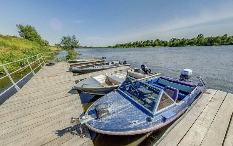 Золотая Рыбка