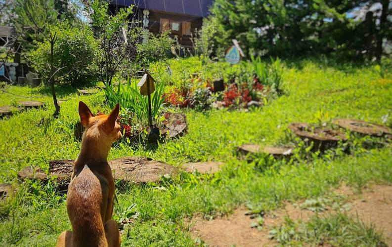 Усадьба Добрыни Никитича