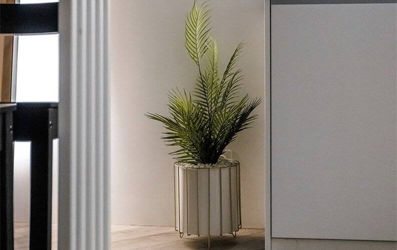 Кози 39 Лайк На Комсомольской 77а