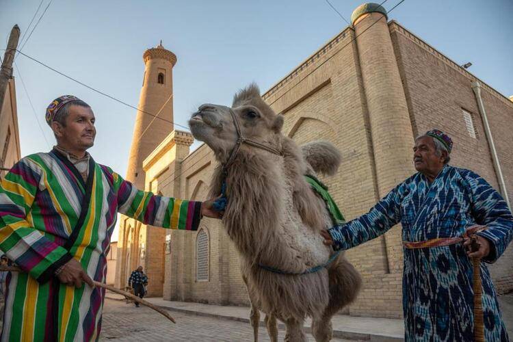 New Star Khiva