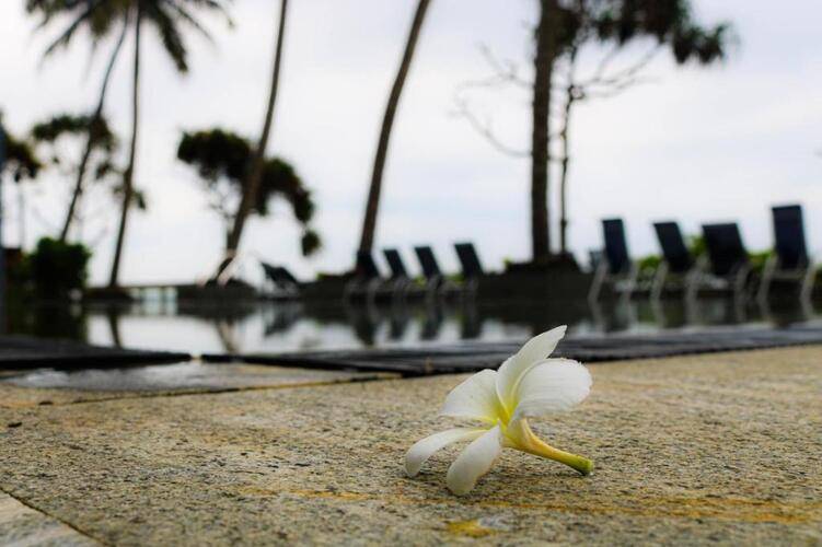 Earls Regent Negombo