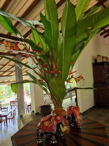 Villa Birdlake