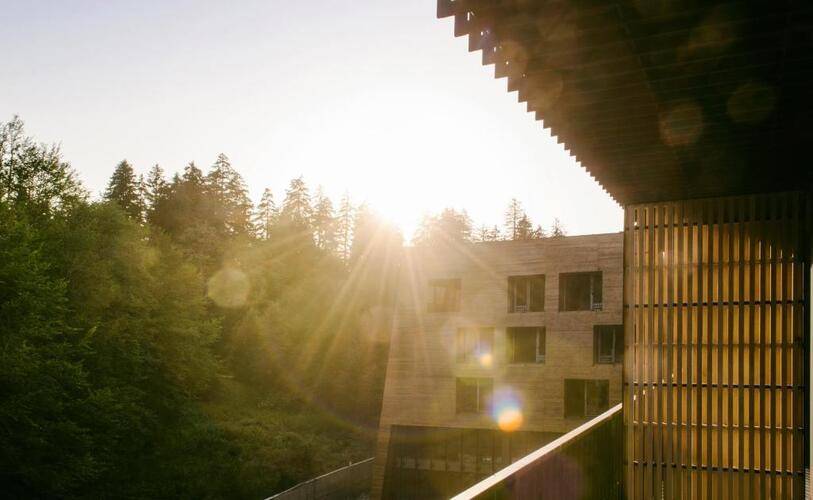 Kohta Bakuriani (Ex. Rooms Hotel Kokhta) — фото 30