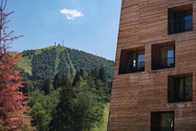 Kohta Bakuriani (Ex. Rooms Hotel Kokhta) — фото 29