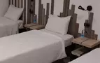 Мята