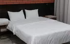 Мята