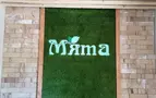Мята