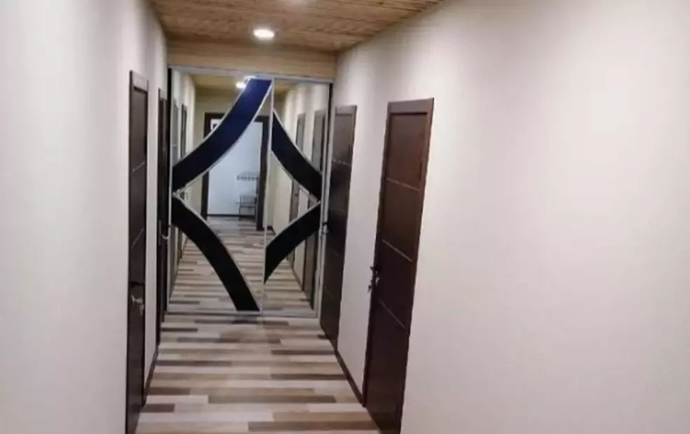 Мята