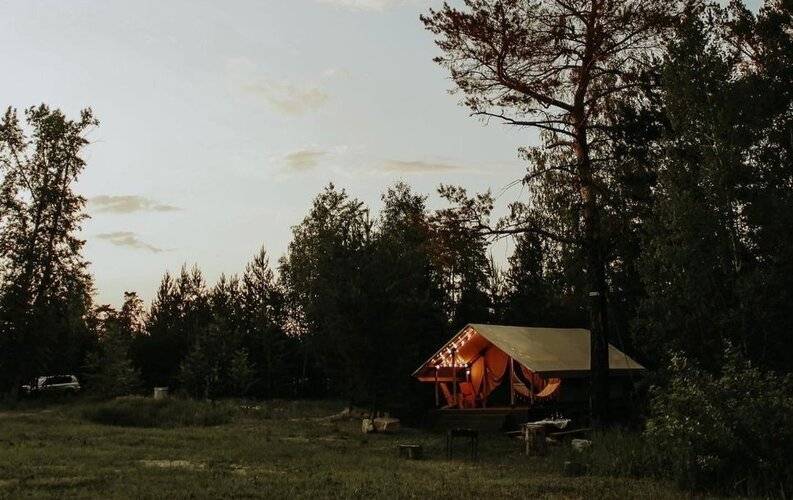 Воздух Леса