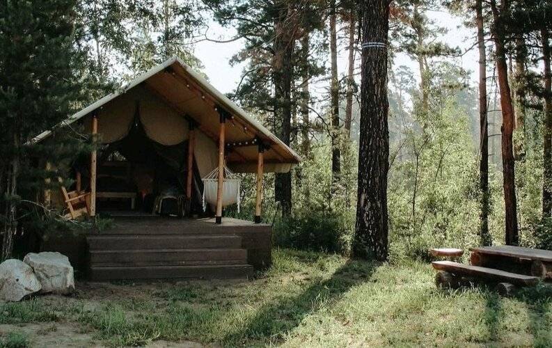Воздух Леса