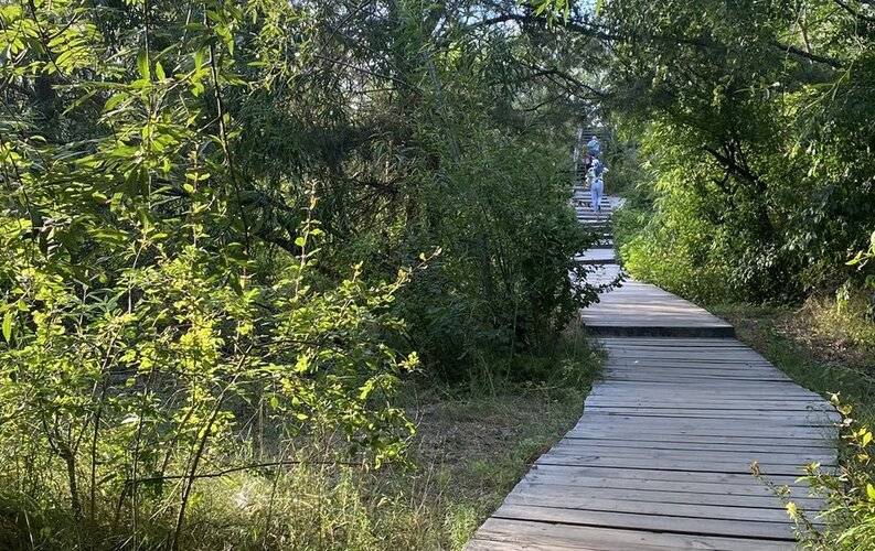 Апартмари Куршская Коса