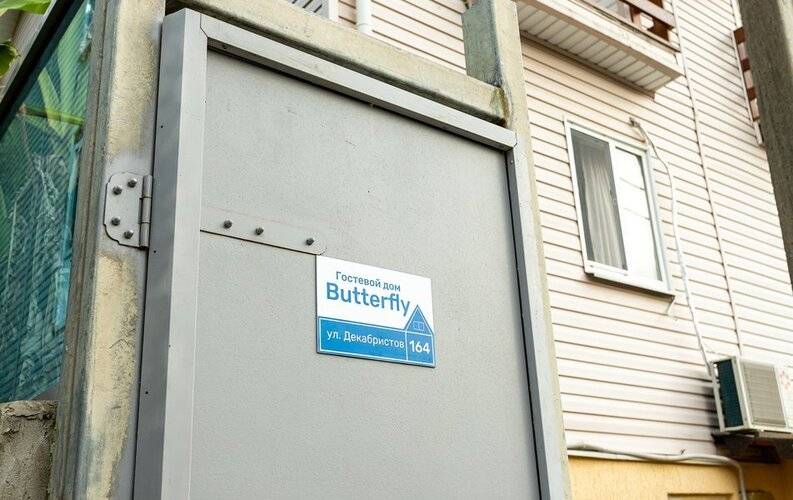 Butterfly