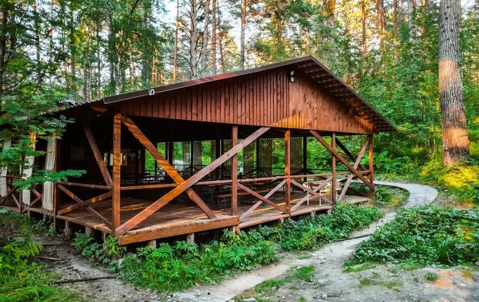 Два Медведя