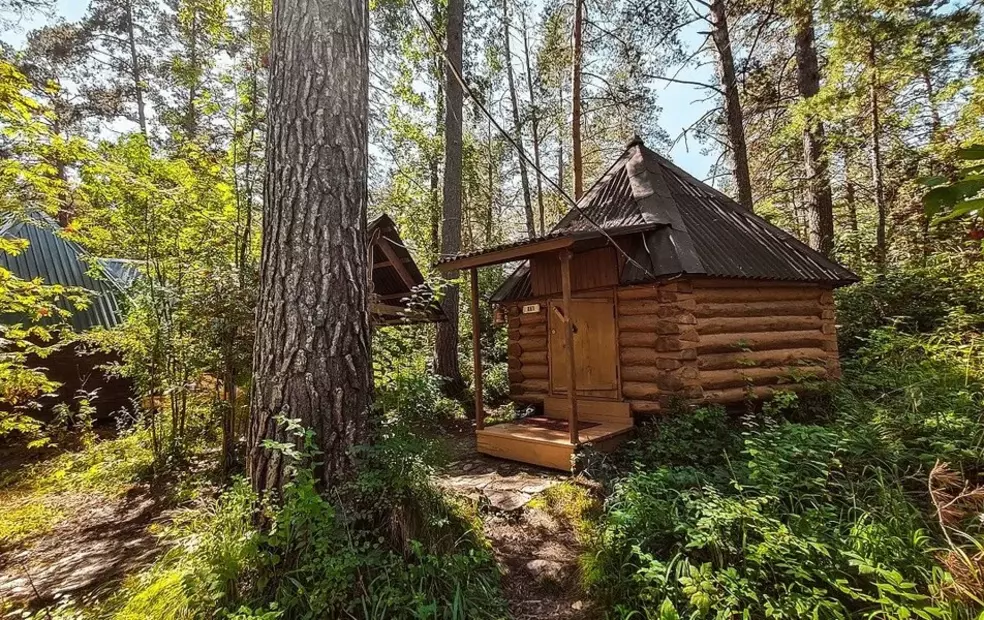 Два Медведя