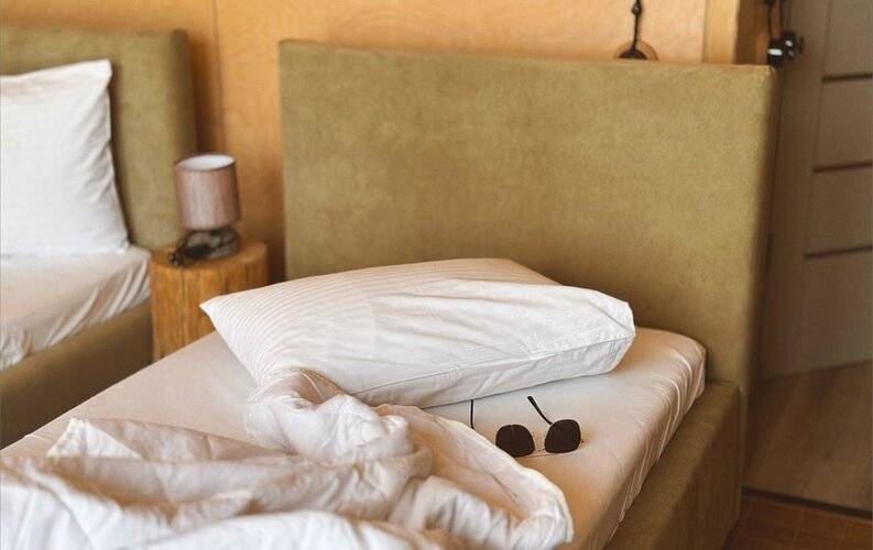 Слон В Удаве