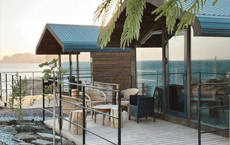 Слон В Удаве