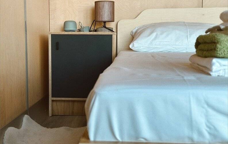 Слон В Удаве