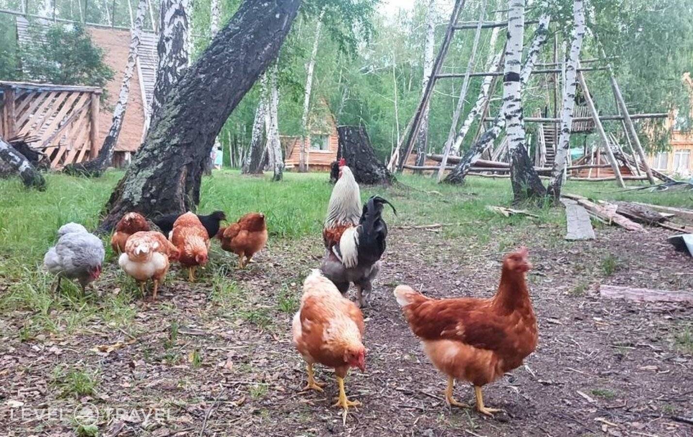 Изображение отеля 24