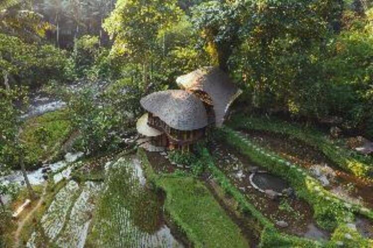 Bambu Indah Resort