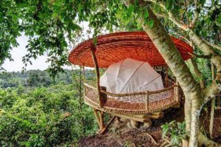 Bambu Indah Resort
