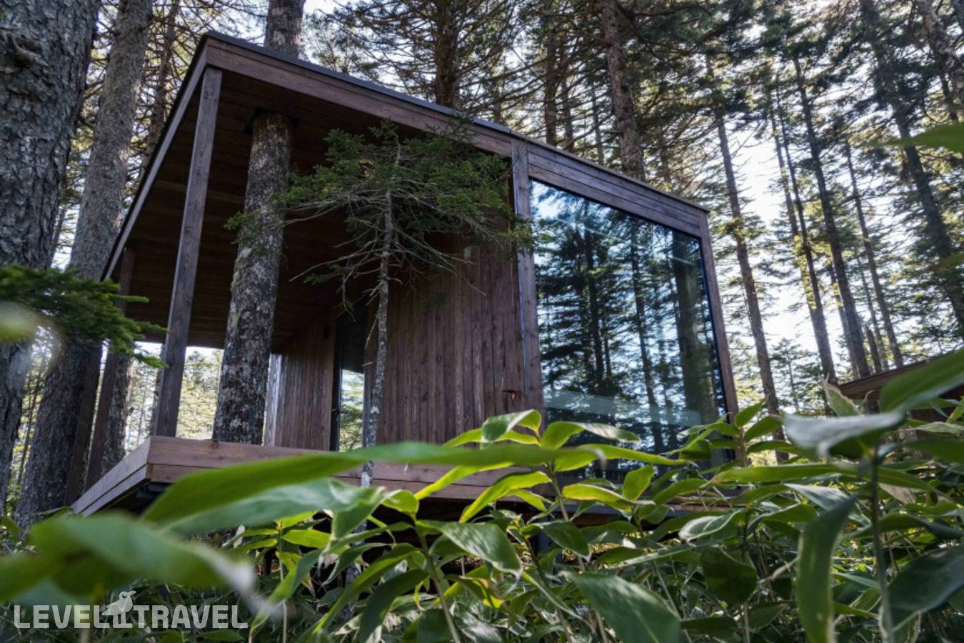 фотографии отеля Kunashir Resort & Natural Spa в Россия(Южно-Курильский городской округ) - фото №19