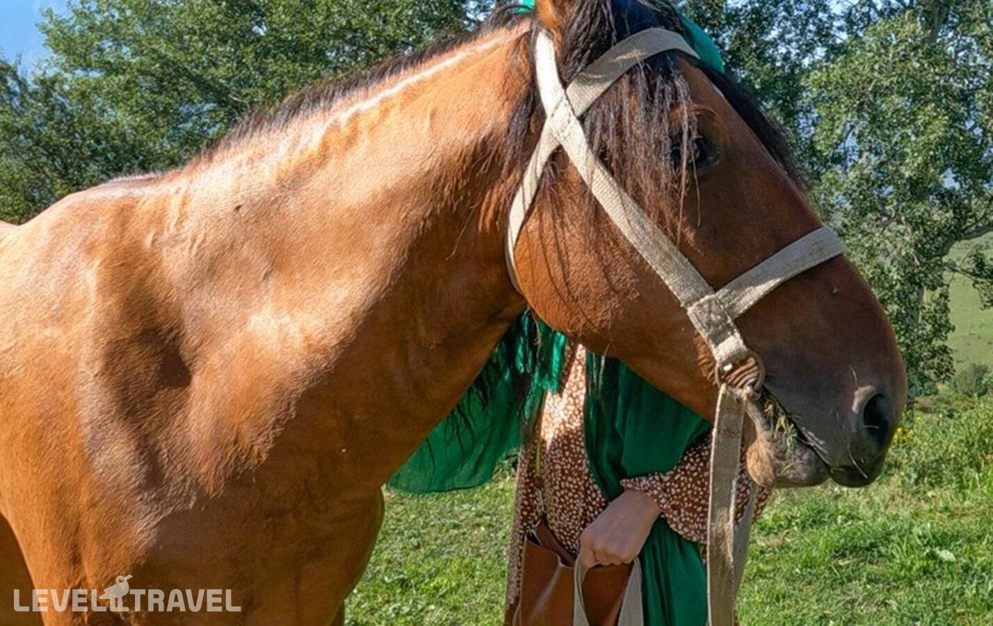 фотографии отеля Берег Неба в Россия(Чеченская Республика) - фото №3