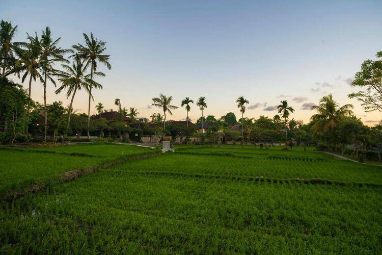 Amatara Agung Raka Resort Ubud