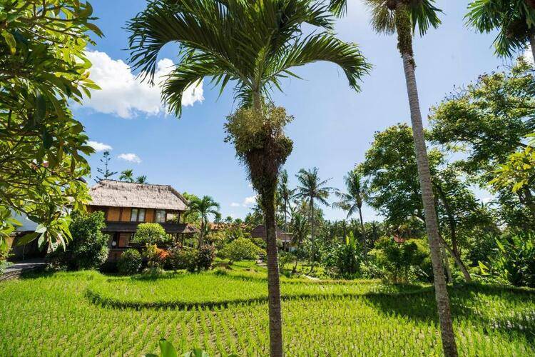 Amatara Agung Raka Resort Ubud