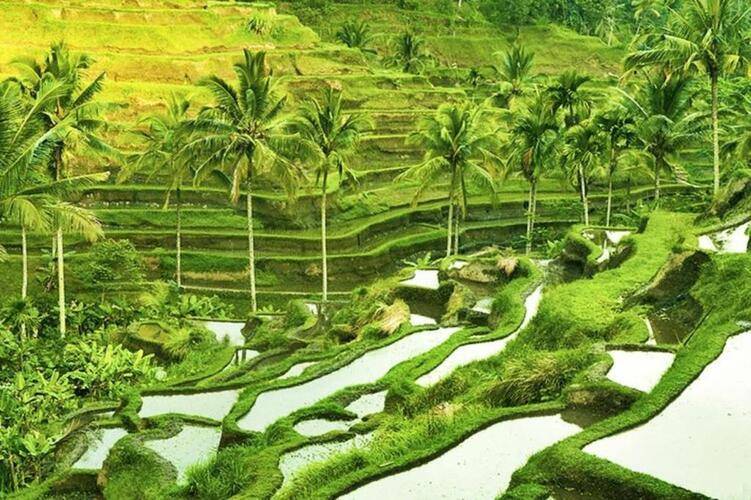 Asvara Villa Ubud