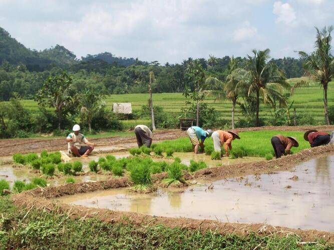 Bakung Ubud
