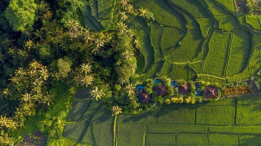 Madani Antique Villas