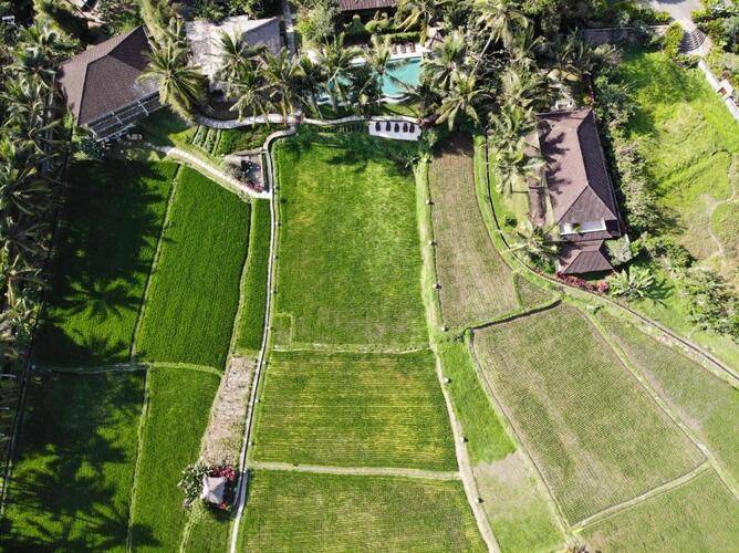 Mathis Retreat Ubud