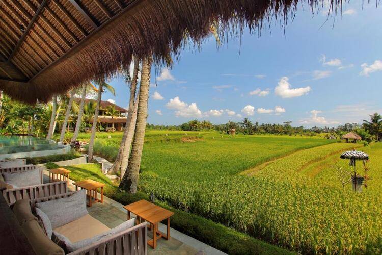 Mathis Retreat Ubud