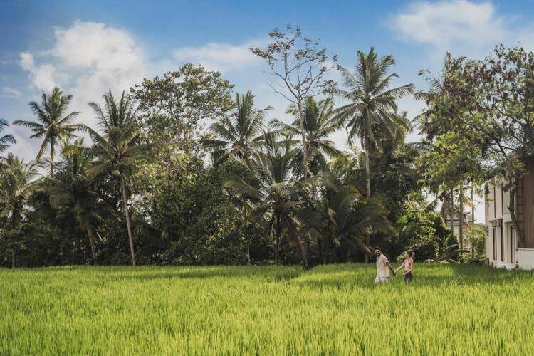 Suara Alam Ubud By Inivie Hospitality