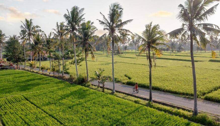 Thewakanda Resort Ubud A Pramana Experience