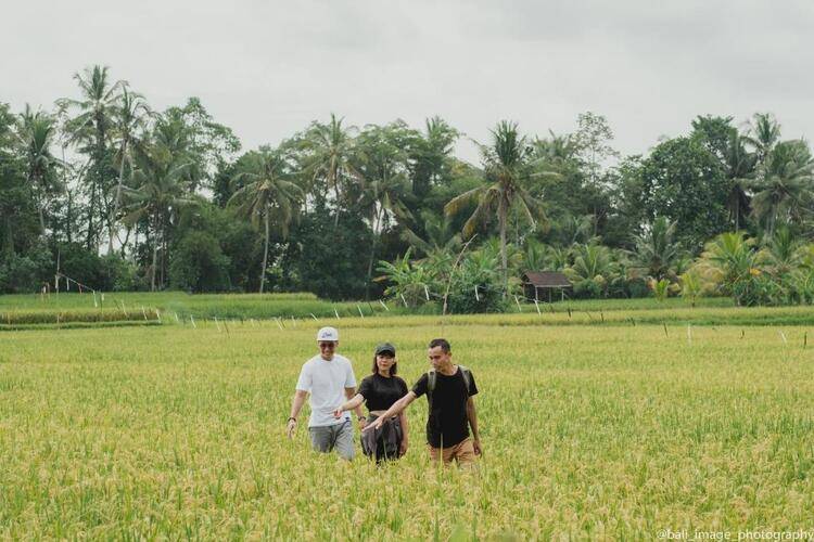 Thewakanda Resort Ubud A Pramana Experience