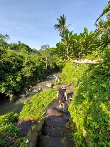 Ubad Retreat Ubud