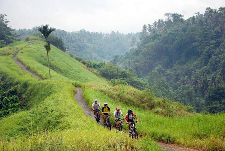 Ubud Green Resort Villas