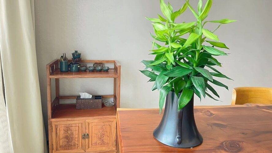 Xingyi International Hotel Poly Store