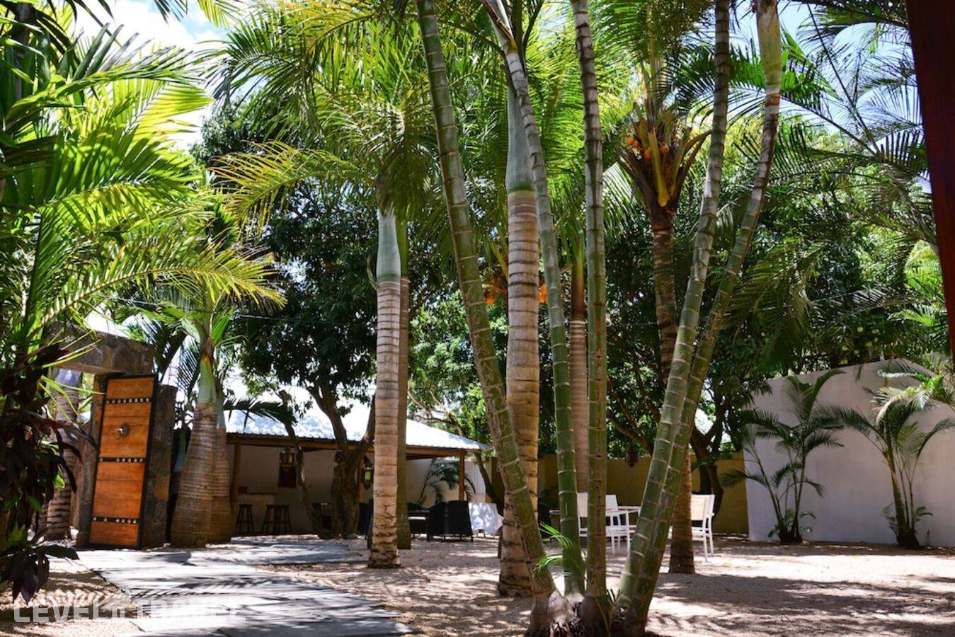 фотографии отеля La Margarita в Маврикий(Северное побережье) - фото №32