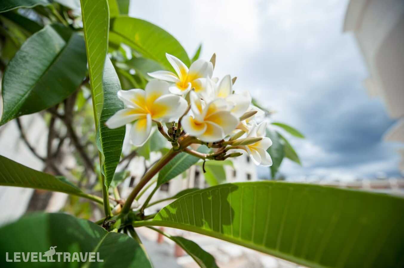 фотографии отеля Gosun Beach Residence в Маврикий(Западное побережье) - фото №6