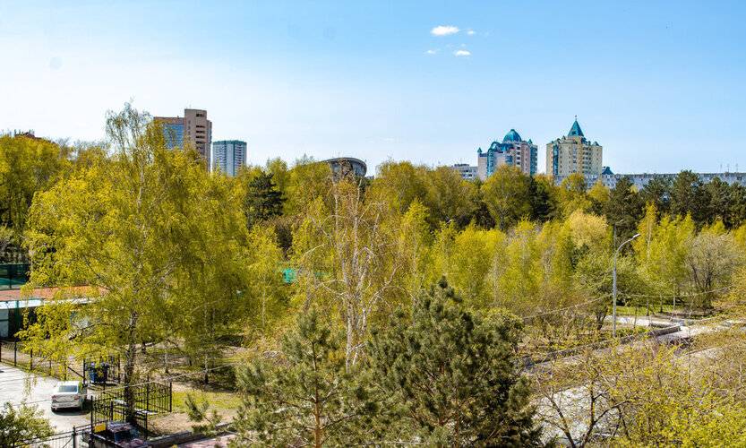 Евродвушка В Центре Новосибирска
