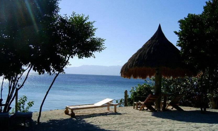 Sea Turtle House Moalboal