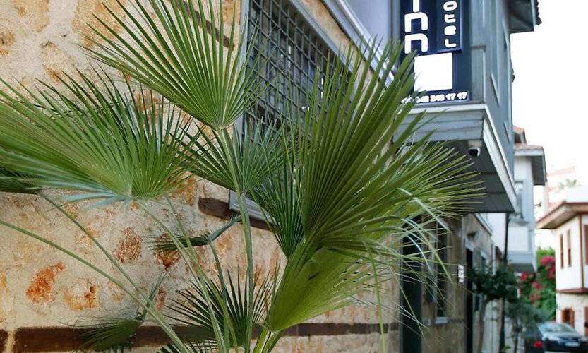 Castle Inn Boutique Hotel