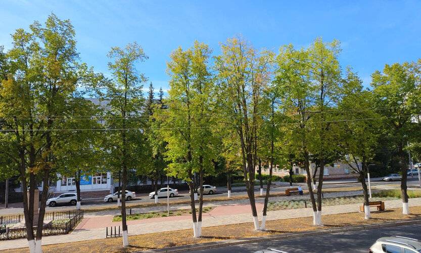 Апартаменты На Бульваре Славы 5