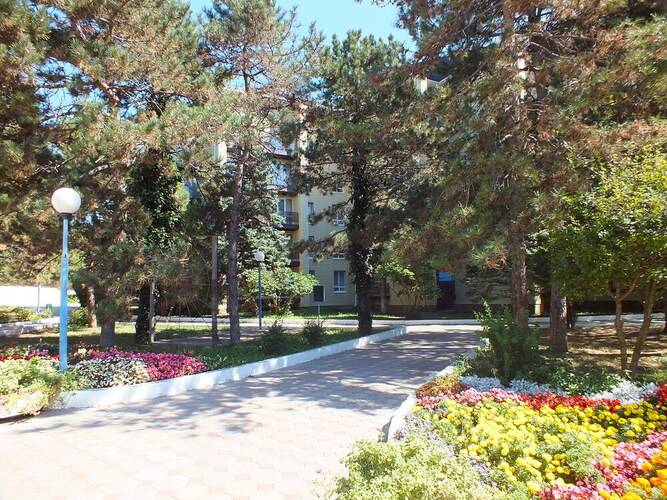 Звездочка